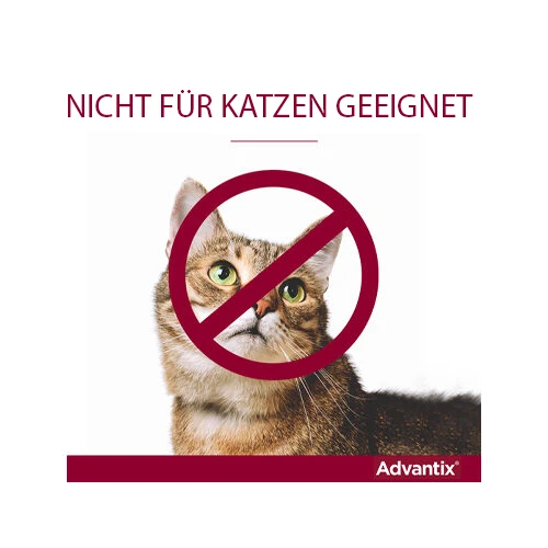 Advantix® 2 Advantix® – Bild 2