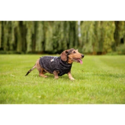 Beeztees Hundepullover Celia -Heimtierbedarf beeztees hondentrui celia 219140 0500 none