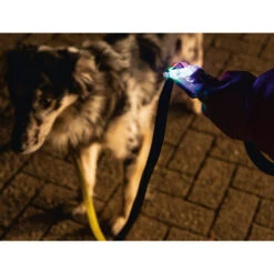 Beeztees Safety Gear Parinca Premium Hundeleine -Heimtierbedarf beeztees safety gear parinca premium hondenriem 215036 0500 none