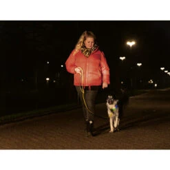 Beeztees Safety Gear Parinca Premium Hundeleine -Heimtierbedarf beeztees safety gear parinca premium hondenriem 215042 0500 none