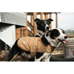 Carhartt Dog Chore Coat -Heimtierbedarf carhartt dog chore coat 186748 0500 none
