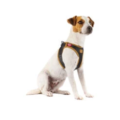 Curli Vegan Apple Leather Geschirr -Heimtierbedarf curli harnas vegan appelleer 216631 0500 none