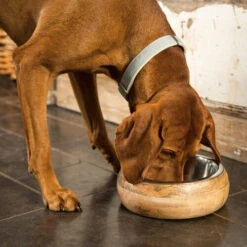 Designed By Lotte Futter- Und Trinknapf Mandira Aus Holz -Heimtierbedarf designed by lotte houten eet en drinkbak mandira 170023 0500 none