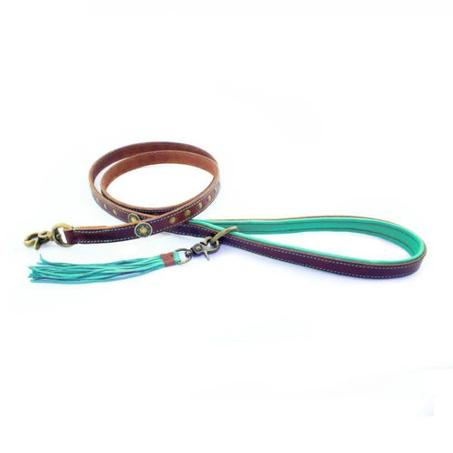 DWAM Hundeleine Joe 2 DWAM Hundeleine Joe – Bild 2