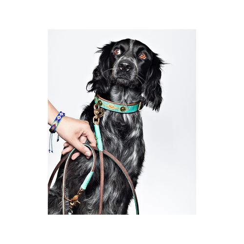 DWAM Hundeleine Johnny Cash 2 DWAM Hundeleine Johnny Cash – Bild 2