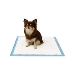 Easypets Trainingpads -Heimtierbedarf easypets trainingspads 184186 0500 none