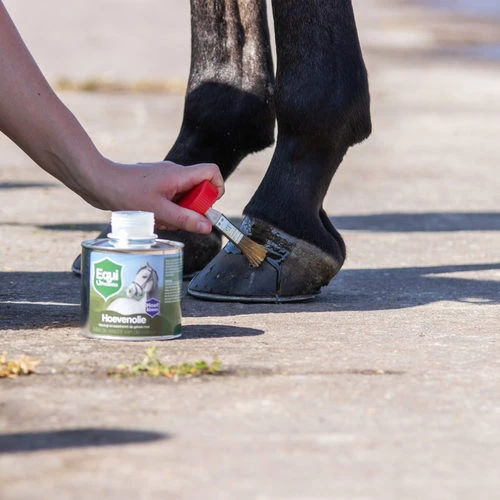 Equi Protecta Huföl 2 Equi Protecta Huföl – Bild 2