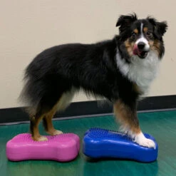 FitPAWS Bone Minis -Heimtierbedarf fitpaws bone minis 177124 0500 none