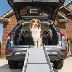 Happy Ride Telescoping Pet Ramp Deluxe -Heimtierbedarf happy ride telescoping pet ramp deluxe 162499 0500 none