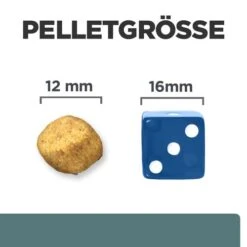 Hill's Prescription Diet W/d Diabetes Care - Canine 11 Hill's Prescription Diet W/d Diabetes Care - Canine -Heimtierbedarf hills prescription diet wd diabetes care canine 218176 0500 none