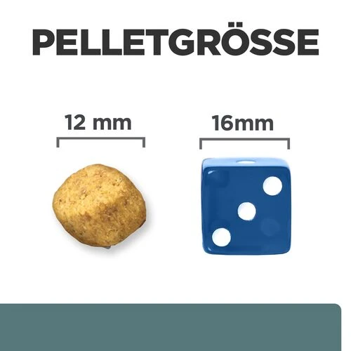 Hill's Prescription Diet W/d Diabetes Care - Canine 3 Hill's Prescription Diet W/d Diabetes Care - Canine – Bild 3