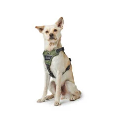 Hunter Geschirr Divo Dunkelblau/Grau 11 Hunter Geschirr Divo Dunkelblau/Grau -Heimtierbedarf hunter harnas divo donkerblauwgrijs 166891 0500 none