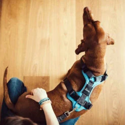 Hunter Geschirr Divo Dunkelblau/Grau 12 Hunter Geschirr Divo Dunkelblau/Grau -Heimtierbedarf hunter harnas divo donkerblauwgrijs 166903 0500 none