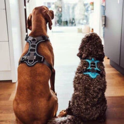 Hunter Geschirr Divo Dunkelblau/Grau 13 Hunter Geschirr Divo Dunkelblau/Grau -Heimtierbedarf hunter harnas divo donkerblauwgrijs 166906 0500 none