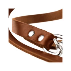 Hunter Trainingsleine - Braun 7 Hunter Trainingsleine - Braun -Heimtierbedarf hunter trainingsriem bruin 175345 0500 none