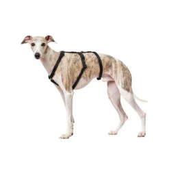 Hunter Vario Rapid Sicherheitsgeschirr - Schwarz -Heimtierbedarf hunter vario rapid veiligheidsharnas zwart 169501 0500 none