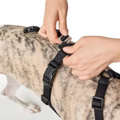 Hunter Vario Rapid Sicherheitsgeschirr - Schwarz -Heimtierbedarf hunter vario rapid veiligheidsharnas zwart 169504 0500 none