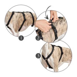 Hunter Vario Rapid Sicherheitsgeschirr - Schwarz -Heimtierbedarf hunter vario rapid veiligheidsharnas zwart 169510 0500 none