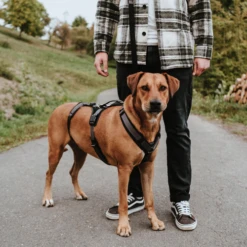 Hunter Sicherheitsgeschirr Maldon 29 Hunter Sicherheitsgeschirr Maldon -Heimtierbedarf hunter veiligheidsharnas maldon 221547 0500 none