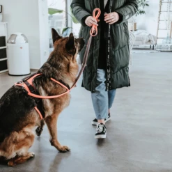 Hunter Sicherheitsgeschirr Maldon 20 Hunter Sicherheitsgeschirr Maldon -Heimtierbedarf hunter veiligheidsharnas maldon 221557 0500 none