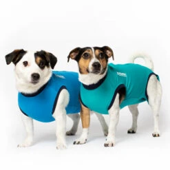 Jacketz Medical Body Suit Für Hunde 6 Jacketz Medical Body Suit Für Hunde -Heimtierbedarf jacketz medical body suit hond 209516 0500 none