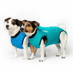 Jacketz Medical Body Suit Für Hunde 7 Jacketz Medical Body Suit Für Hunde -Heimtierbedarf jacketz medical body suit hond 209519 0500 none