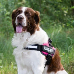 Julius K9 IDC Powergeschirr 16 Julius K9 IDC Powergeschirr -Heimtierbedarf julius k9 idc powertuig 192695 0500 none