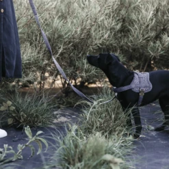 Kentucky Dogwear Hundegeschirr Body Safe Wool -Heimtierbedarf kentucky dogwear hondenharnas body safe wool 219214 0500 none