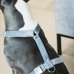 Kentucky Dogwear Hundegeschirr Velvet Loop -Heimtierbedarf kentucky dogwear hondenharnas velvet loop 219286 0500 none