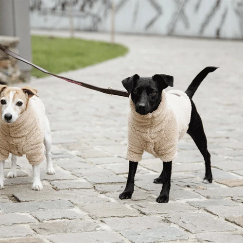 Kentucky Dogwear Hundejacke Teddy Fleece 4 Kentucky Dogwear Hundejacke Teddy Fleece – Bild 4