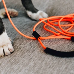 Kentucky Dogwear Schleppleine Soft Rubber 11 Kentucky Dogwear Schleppleine Soft Rubber -Heimtierbedarf kentucky dogwear sleeplijn soft rubber 219203 0500 none