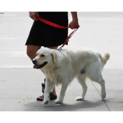 KONG Adjustable Leash -Heimtierbedarf kong adjustable leash zwart 176941 0500 none