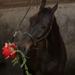 Maximus Fun Play Ball Für Pferde -Heimtierbedarf maximus fun play ball voor paarden 207833 0500 none