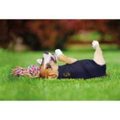 Medical Pet Shirt Hund -Heimtierbedarf medical pet shirt hond 149981 0500 none