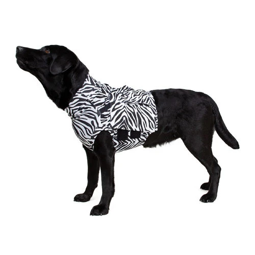 Medical Pet Top Shirt Zebra 1 Medical Pet Top Shirt Zebra