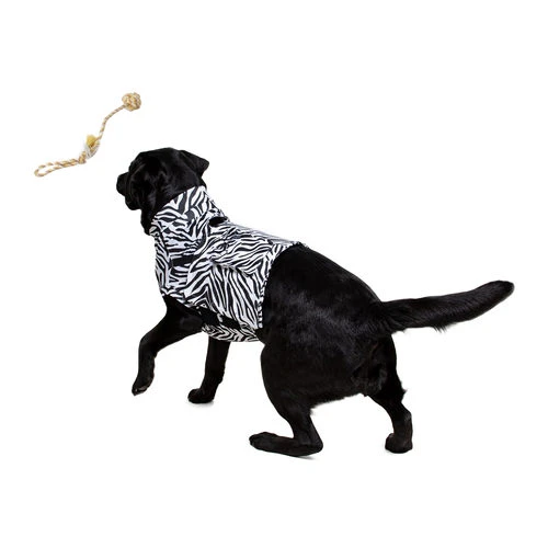 Medical Pet Top Shirt Zebra 4 Medical Pet Top Shirt Zebra – Bild 4