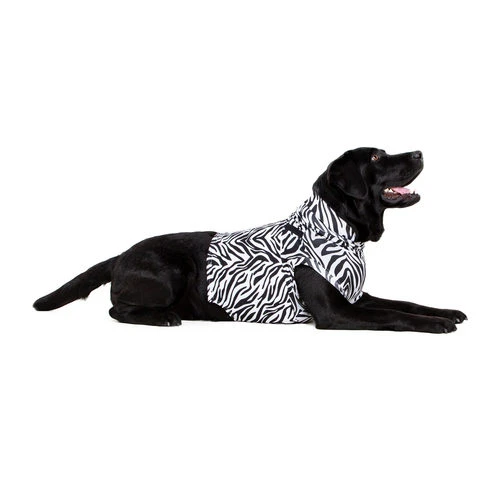 Medical Pet Top Shirt Zebra 2 Medical Pet Top Shirt Zebra – Bild 2
