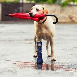 Medical Pet Shirt Boot 17 Medical Pet Shirt Boot -Heimtierbedarf medical pets boot 167512 0500 none