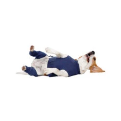 MPS-HLS Hinterbeinschutz 5 MPS-HLS Hinterbeinschutz -Heimtierbedarf mps hls achterpootmouwtjes 167440 0500 none