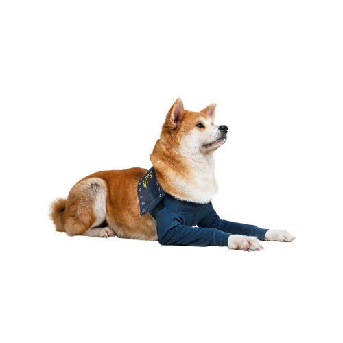 MPS-TAZ2 Vorderpfotenschutz 3 MPS-TAZ2 Vorderpfotenschutz – Bild 3