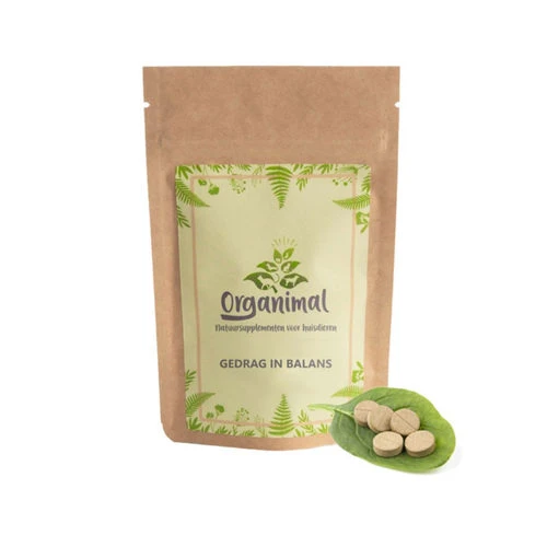 Organimal Verhalten In Balance 1 Organimal Verhalten In Balance