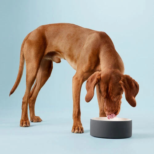 PAIKKA Cool Bowl 7 PAIKKA Cool Bowl – Bild 7