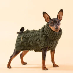 PAIKKA Handmade Knit Sweater -Heimtierbedarf paikka handmade knit sweater green 217735 0500 none