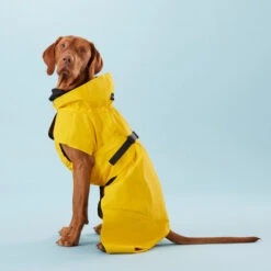 PAIKKA Visibility Raincoat Lite Yellow 8 PAIKKA Visibility Raincoat Lite Yellow -Heimtierbedarf paikka visibility raincoat lite yellow 217726 0500 none