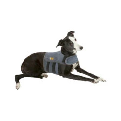 Petlife KarmaWrap Für Hunde -Heimtierbedarf petlife karmawrap hond 154186 0500 none