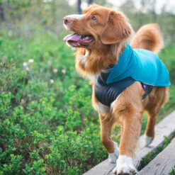 Pomppa Jumppa 13 Pomppa Jumppa -Heimtierbedarf pomppa jumppa 190573 0500 none