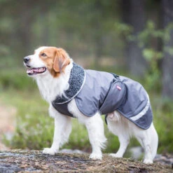 Pomppa Perus Hundejacke 9 Pomppa Perus Hundejacke -Heimtierbedarf pomppa perus hondenjas 215732 0500 none