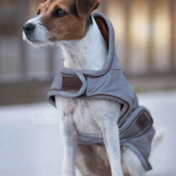 Kentucky Hundemantel Reflective & Waterrepellent -Heimtierbedarf prod 15746 219013 0500 none