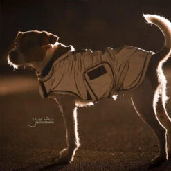 Kentucky Hundemantel Reflective & Waterrepellent -Heimtierbedarf prod 15746 219015 0500 none