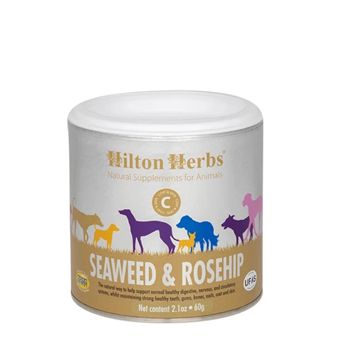 Hilton Herbs Seaweed & Rosehip For Dogs 1 Hilton Herbs Seaweed & Rosehip For Dogs